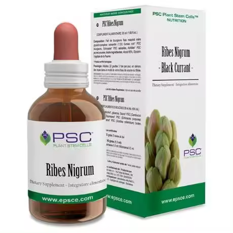 Psc Currant Nigrum Gotas 15Ml - 1