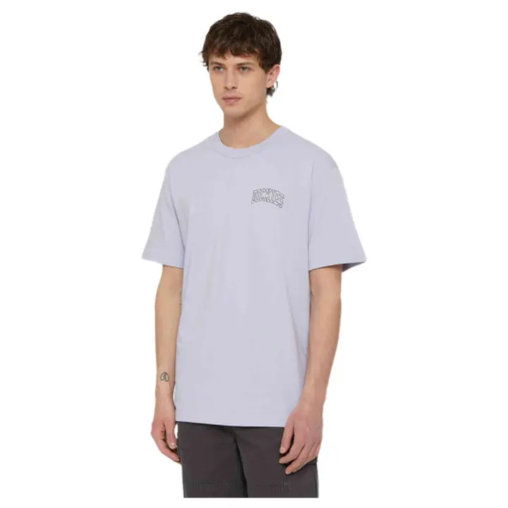 Camiseta de Manga Corta Dickies Aitkin para hombre en color gris - 1