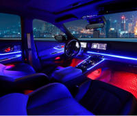Lámparas De Decoración Para Coche Dual Zone 18/22 Pulgadas RBG 64 Colores Control APP Bluetooth Strip Led De Acrílico Para Atmosfera Del Vehículo Compatible Con BMW Audi Benz Y Más - details 14