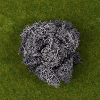 1Pc Moss Artificial De Colores Naturales Para Decoración De Joyería Jardín Y Epoxy Resina Decorativa Para Mesa - details 18