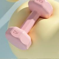 Nueva Pesada De Mano De 1kg Para Mujeres Y Hombres Equipo De Fitness Para El Hogar Kettlebell Para Niños En Escuela Small Dumbbell Set De Músculo Del Brazo Yoga - details 4
