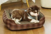 Cama De Mascota Cuadrada Con Red De Algodón Grueso Doble Cara Desmontable Y Lavable Para Perros Y Gatos Accesorios Para Mascotas - details 10