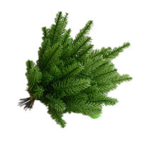 10 Pcs Ramas De Pino Artificiales Para Decoración De Navidad Accesorios Para Árbol De Navidad DIY Decoraciones De Año Nuevo Para Niños - details 3