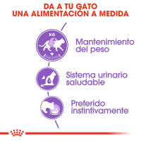 12 X85g - Royal Canin Sobre Húmedo Sterilised in Gravy (Salsa) para Gatos - details 2