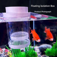 Caja De Cría De Peces Flotante En Plástico Acuario Incubador De Alimentos Para Peces Hatchery Accesorios De Acuario - details 3