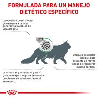 ROYAL CANIN CAT SATIETY WEIGHT BALANCE 3,5Kg - details 1
