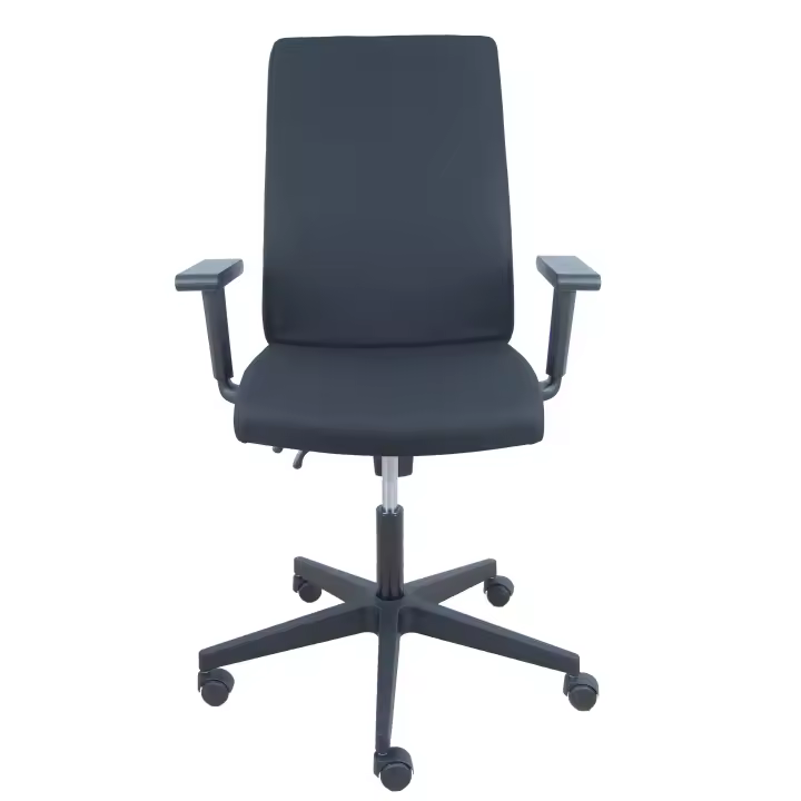 Silla de Oficina Ergonómica Piqueras Y Crespo Lezuza Aran Negro con Brazos Regulables - 1