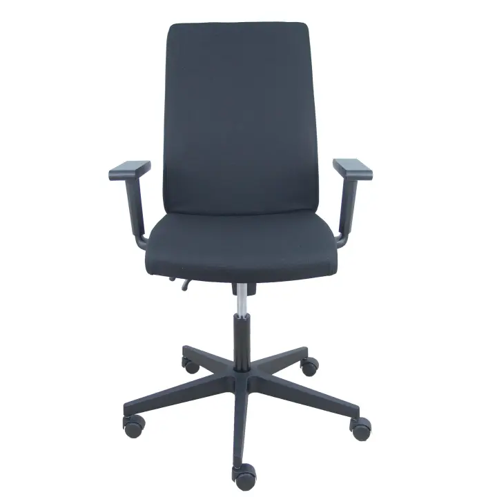 Silla de Oficina Ergonómica Piqueras Y Crespo Lezuza Aran Negro con Brazos Regulables - 1