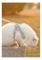 Harnés Ajustable Para Gatos Y Perros Reflectante Y Transpirable Con Correa Para Pecho Para Caminar Al Aire Libre Para Pequeños Y Medianos Perros - details 6