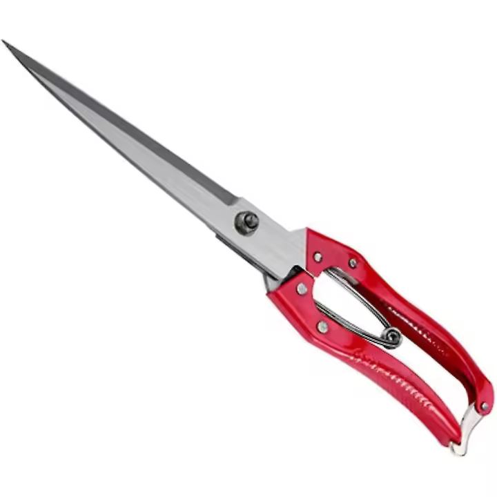 Granja Ovejas Shear CORTE DE Lana Cabra Mascota Pelo Corto Jardín a Tijeras Rama Pruner Arce Sharp mano corta - 1