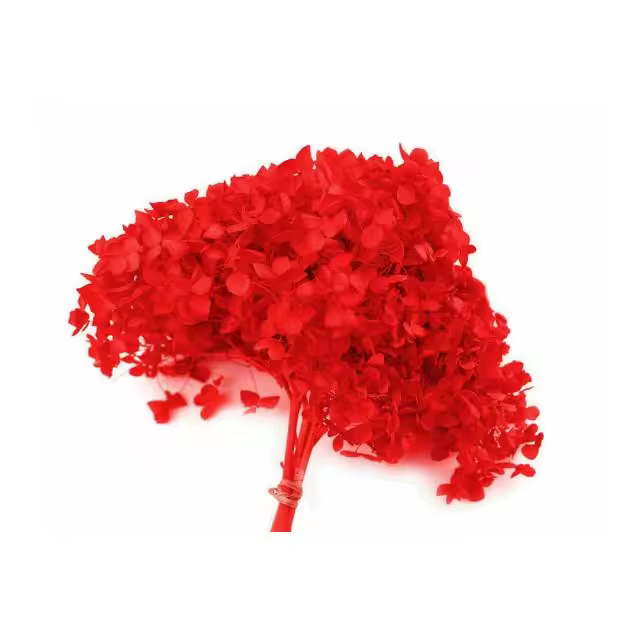 Artipistilos Hortensia Preservada - Flor Mini Raíz - 1