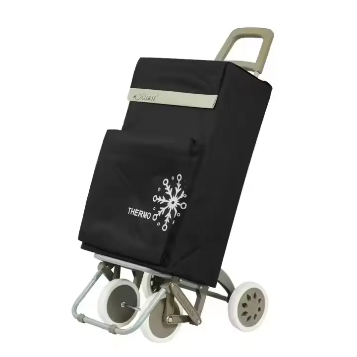 Carro de Compra Plegable Ligero con Bolsa Termo, 4 Ruedas Resistentes, 40 Litros, 105x30x39cm - 1
