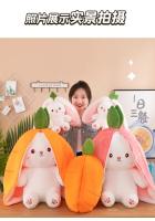 Muñeco De Peluche Transformable En Fresa Y Conejo De Zanahoria 25CM Juguete Suave Regalo Ideal Para Niños Y Adultos - details 17