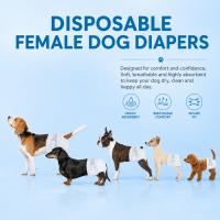Pañales absorbentes desechables para perras, varias tallas, pack de 12 unidades - details 0