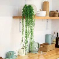 1PC Cadena De Perlas Artificial De Suculentas Colgantes Para Bodas Y Decoración De Hogar Para Sala De Estar Y Dormitorio - details 1