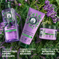 Herbal Essences Controla El Frizz Champú Aroma A Lavanda Para Pelo Encrespado. Ayuda A Limpiar, Hidratar, Suavizar. De Origen Natural. 6 Unidades de 350ml - details 0