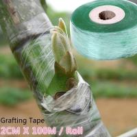 Cinta De Grafting PE Autoadhesiva Para Árboles Y Plantas En Jardín Film Elástico Para Vínculos De Tomates Y Esquejes - details 0