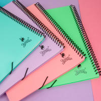 Carpeta 100 Fundas Espiral Negra A4 Quijote Paper World y Starplast. Colores Pastel y Flúor - details 1