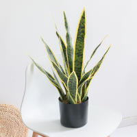 Plantas Artificiales Sansevieria 32/37cm Para Decoración De Jardín Y Hogar Plástico Bonsái DIY Falso Verde Para Interior Y Exterior - details 13
