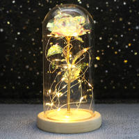 Rosa De Boda Con LED Galaxia Enchanted Con Luz En Domos Regalo De San Valentín Navidad Día De La Madre Belleza Y La Bestia Para Interior - details 24