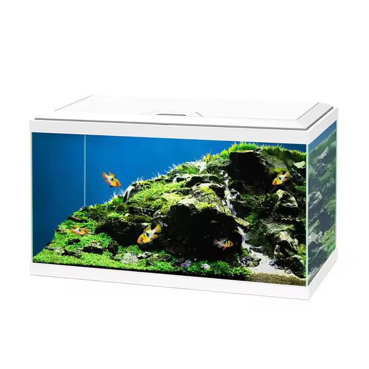 Ciano Aqua 65L Plus LED Negro - Set con filtro, LED y Consumibles - 1