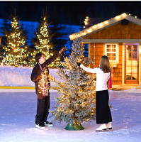 Tira De Luces LED Solar Para Jardín Fiesta Boda Navidad Decoración De Árbol De 10M-100M Impermeable 5V Para Exterior - details 10