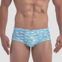 Traje De Baño Para Hombre Bikini Surfeo Shorts Boxer Estilo Tradicional Arco Iris Sexy Ropa Deportiva Para La Playa Y Piscina - details 4