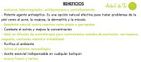 Aceite esencial Árbol del Té NORESENZA 100% Puro y ecológico |VIDRIO BLACK PREMIUM 10 ml. BIONATURE GALICIA - details 0