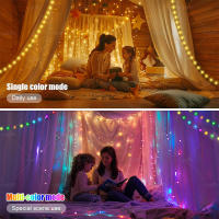 Luz De Fairy LED RGB IC Smart String DIY Programable WS2812B USB Garland Decoración Para Exterior Navidad Luces De Globos Fairy - details 6
