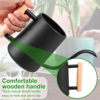 Botella De Riego De 1L Con Mango De Madera Y Boquilla Larga De Acero Inoxidable Para Plantas De Interior Jardín - details 4