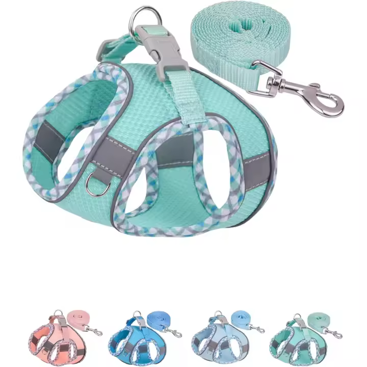 Arnés para Perros Pequeños y medianos que no Tira, arnés y Correa para Perros fácil de caminar (Green, S) - 1