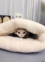 Saco De Descanso Para Gatos Y Perros En Otoño/Invierno Cómodo Y Caliente Semi-Abierto Con Plush Suave Para Viajes - details 11