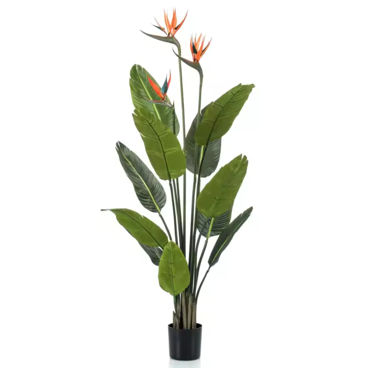 Emerald Planta artificial Strelitzia con macota y Flores 120 cm - 1