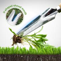 1pc Herramienta De Jardín Alejador De Malas Hierbas Acero Inoxidable Con Puntas Filosas Para Yarda Y Aseo Del Jardín - details 8
