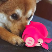 Juguete De Goma Creativo Para Perros Resistente Al Ruido Con Voz De Monstruo Mono Ojo Juguete Para Mascotas Suave Y Seguro - details 0