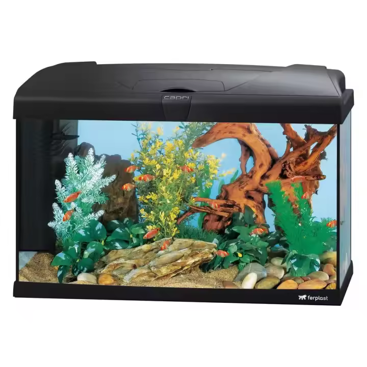 ferplast acuario capri 60 60x31,5x39,5cm 60l - 1