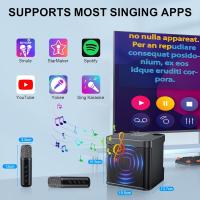 Altavoz Bluetooth Portáthil with Dual Para Karaoke Microphone, Transmisión en Vivo al Aaire Libre, Para El Hogar y Audio with Bluetooth, Mini Altavoz Portáthil - details 3