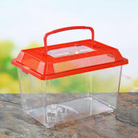 Tanque De Peces Portátil De Plástico Transparente Para Tortuga Y Pequeños Peces Diseño De Corte Manual Sin Químicos Originales En China - details 2