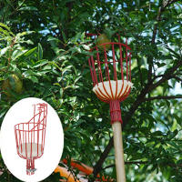 Recolector De Frutas Para Manzanas Peras Cítricos Y Peaches Dispositivo Portátil De Jardín Con Cesta Profunda Para Recoger Frutas - details 7