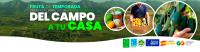 Caja frutMix variado 4kg: 1kg AGUACATES HASS +1kg pomelos rosas 1kg+ Naranjas Valencianas +1kg Limones  Pack variado. Fruta fresca de temporada, cultivo sostenible, origen Castellón, España. Sin químicos ni pesticidas. Directos del agricultor. Tropitop - details 0