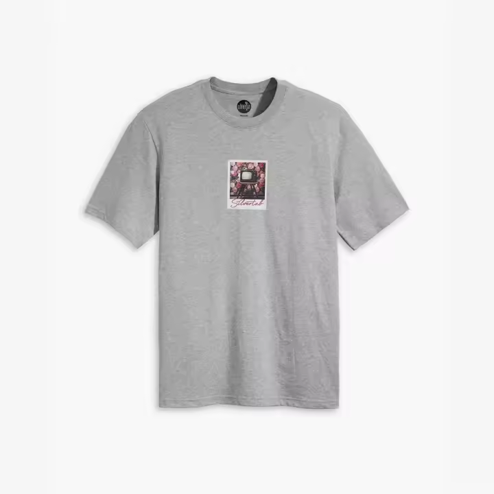 Camiseta Gris Levis Polaroid Heather Grey - 1