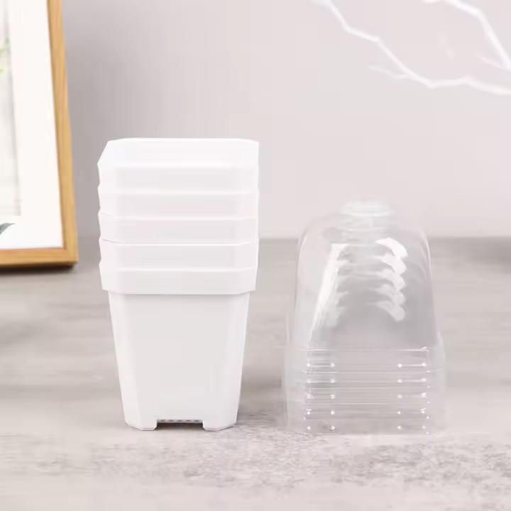 Juego De 5 Macetas Cuadradas Pequeñas Con Domos De Humedad Transparentes Para Plantas En Iniciación Moderno Estilo Plástico - 1