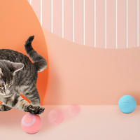 Juguete Interactivo Para Gatos Recargable USB Bola De Juguete Electrónica Inteligente Juguete Para Mascotas Para Divertir a Los Gatos - details 3