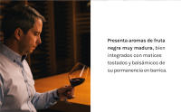 Legaris Crianza - Vino Tinto - DO Ribera del Duero - details 4