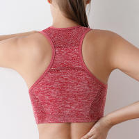 Chaleco De Gimnasio Fitness Transpirable Sujetador De Yoga Para Mujer Top Deportivo Push up Ropa Deportiva Para Correr - details 14