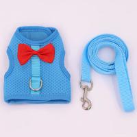 Correa De Malla Transpirable Para Mascotas Pequeñas Conejos Y Ardillas Ideal Para Cachorros Y Animales Domésticos - details 5