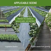 Malla Antihierba  Tela Para Uso Agrícola Estera Contra Malas Plantas Invernadero Jardin  Huerta Transpirable Proteccion Campo Resistente Facil De Cortar Cesped Artificial  Negra  Medida - details 4