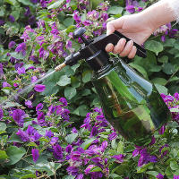 Nueva Reparadora De Jardín 1.5L Manual Pum Sprayer De Agua Para Desinfección Y Riego Herramientas De Jardinería - details 8