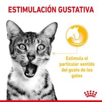 Royal Canin Sensory Taste en salsa 12X85g - details 2