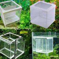 Caja De Incubación Para Peces De Acuario Red De Isolación Mesh Criadero De Peces Tanque De Acuario Material Plástico Y Gaze - details 8